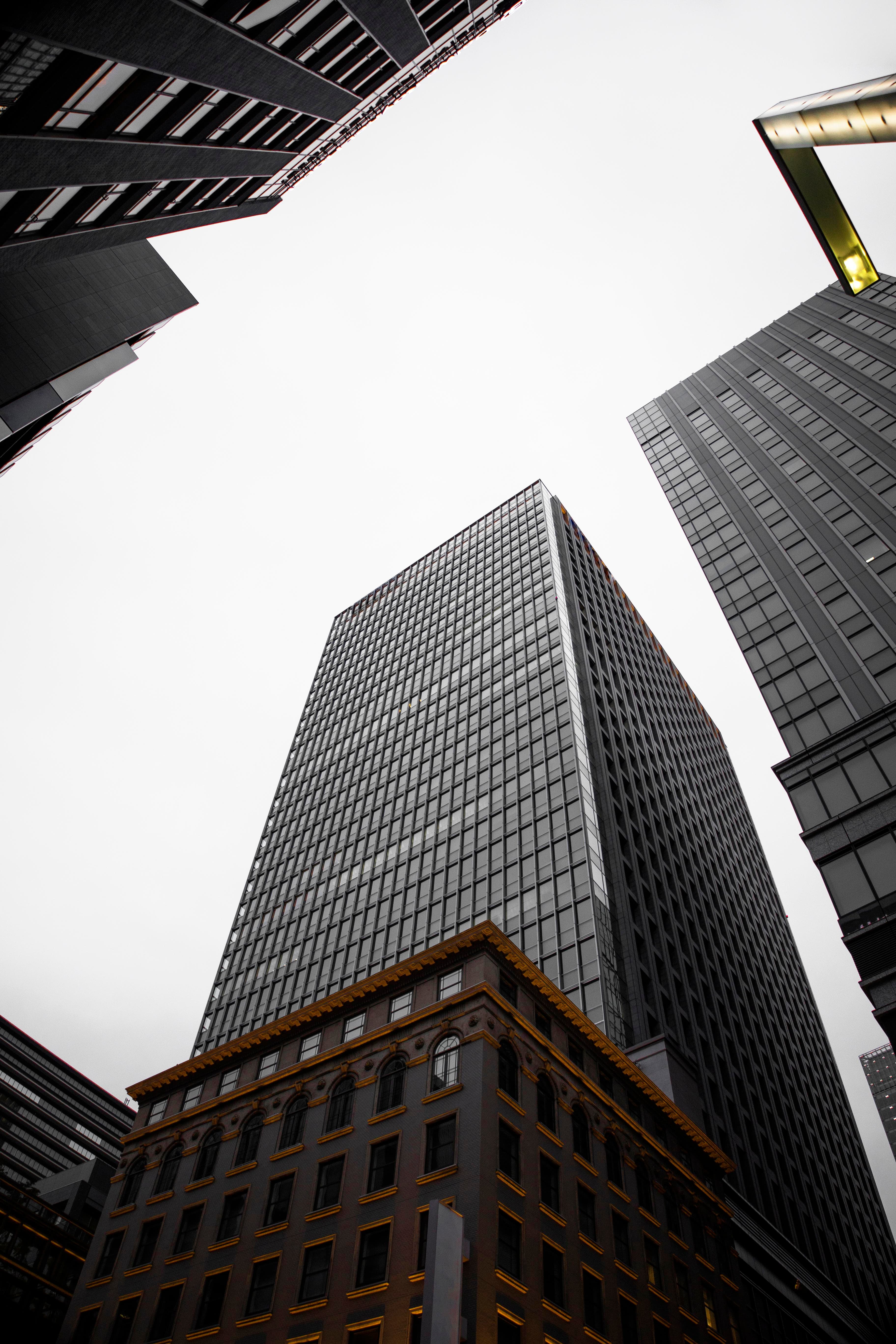 Tahap Bisnis Anda Sudah Membutuhkan Website Profesional